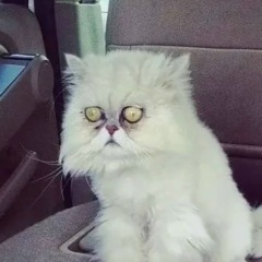 Татьяна Наумова, 30.04, Воронеж