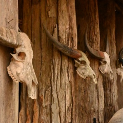 Елена Кулманакова, 30.10