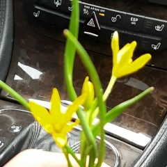 Айзат Абдукаимова, 07.11, Бишкек