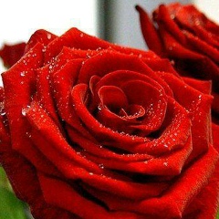 Оксана Судак, 27.09, Одесса