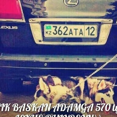 Дастан Османбай, 05.02.2000, Актау