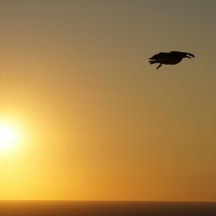 Юлия Сорокоумова, Санкт-Петербург