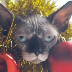 Оксана Слаква, 11.12.1977, Горловка