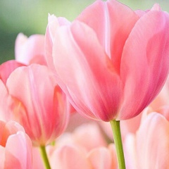 Ляззат Бисенгалиева, 11.12.1995, Актау