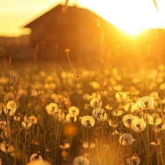 Эльмира Ахметзянова, 03.10