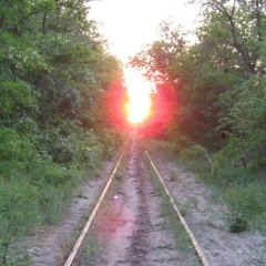 Денис Коновалов, 27.11.1985, Запорожье