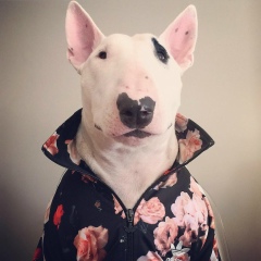 Азамат Машуков, 19.08, Москва