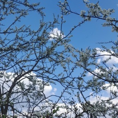 Елена Енгалычева, 24.07, Санкт-Петербург