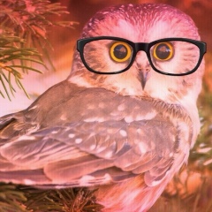 Света Учина, 10.05.1951