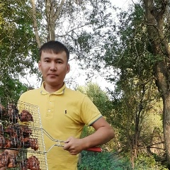 Нурболат Сарсеков, Шымкент