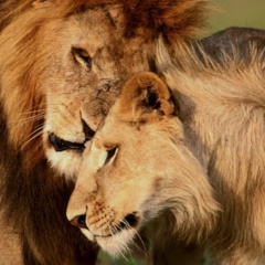 Наталья Семичастнова, 30.04, Санкт-Петербург