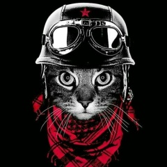 Валентин Пантелеев, Санкт-Петербург