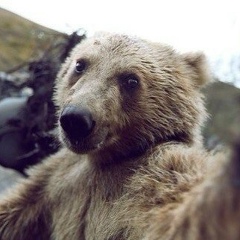 Филипп Бирюков, 13.01