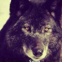 Асадбек Гаффаров, 28.09.1901, Dubai