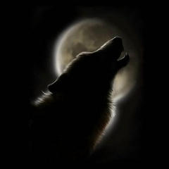 Михаил Самчук, 18.05, Санкт-Петербург