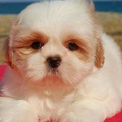 Виктория Вьюнова, 10.09, Antalya