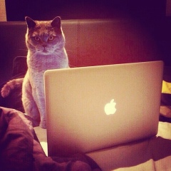 Aslan Gadzhiev, Махачкала