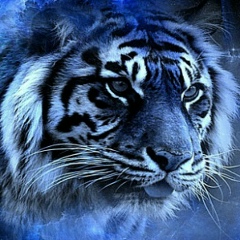 Антон Дмитриев, 06.04, Санкт-Петербург