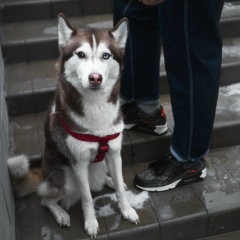 Виталик Купец, 08.04