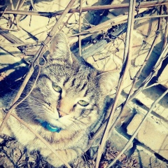 Александра Хлебинская, 05.07.1986