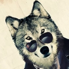 El Patrono, Алматы