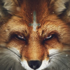 Александр Труш, 07.10, Kópavogur