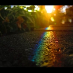 Moldir Serikkyzy, 05.07.1988, Алматы