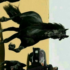 Багдат Лесбеков, 18.09.1978, Шымкент