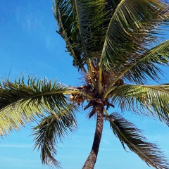 Лена Микерина, Ростов-на-Дону