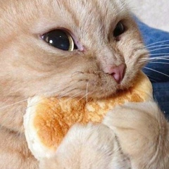 Андрей Антонов, 16.04, Куженер