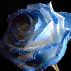 Рая Багаева, 22.01.1962, Пермь