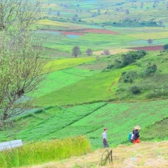 Khin Thandar, 23.02.1976