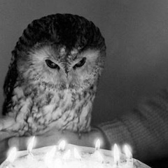 Shay Nguyen, 18.11, Manchester