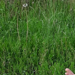 Наташа Мухамедова, 03.07.1988, Киев