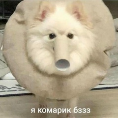 Оля Оля, 01.02.2003, Санкт-Петербург