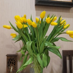 Наталья Абрамова, 09.07.1961