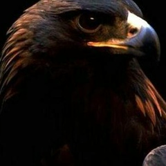 Евгений Анатольевич, 30.12.1988, Уфа