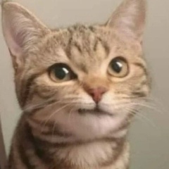 Александр Гладунов, 01.07, Москва