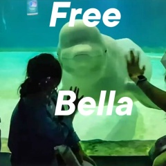 Ринат Зарипов, 26.04