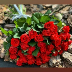 Алёна Жук, 06.11, Нежин