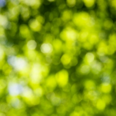 Мария Кондратенко, 06.05.1989, Москва