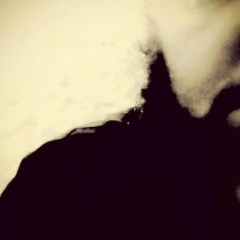 Junior Dish, 08.06.1982