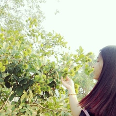 Nweni Htoo, 27.08.1984