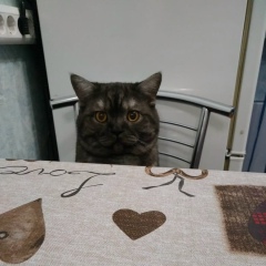 Вячеслав Юрьевич, 22.04.1920, Москва