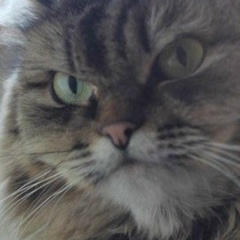 Erik Nurpeisov, 30.12.1988, Алматы