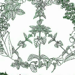 Евгений Учеватов, 20.01, Самара