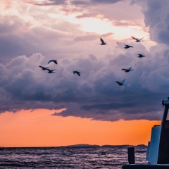 Kaster Kyzyr, 03.09, Астана