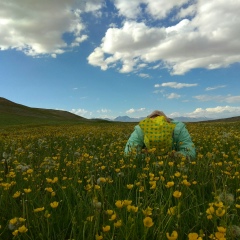 Мээрим Исманова, 11.02.1992, Бишкек