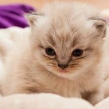 Mi Thidar, 26.10.1990