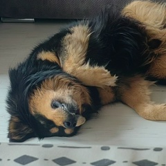 Очир Очиров, 05.02.1984, Элиста